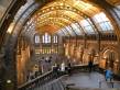  Grand Hall du museum